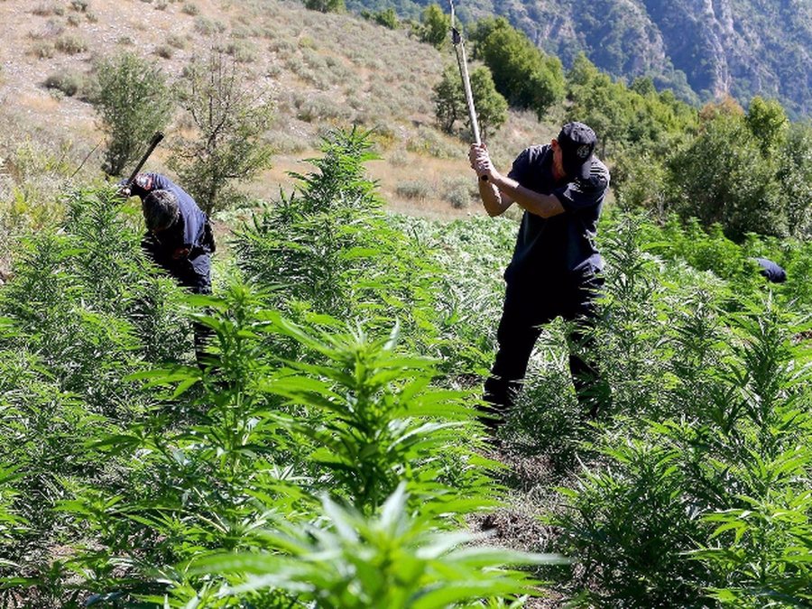 Stani i drog&euml;s, gjykata d&euml;non v&euml;llain e ish-deputetit t&euml;