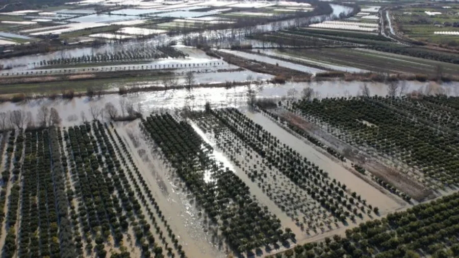 P&euml;rmbytjet vijojn&euml; edhe pas ndalimit t&euml; reshjeve, Semani del nga