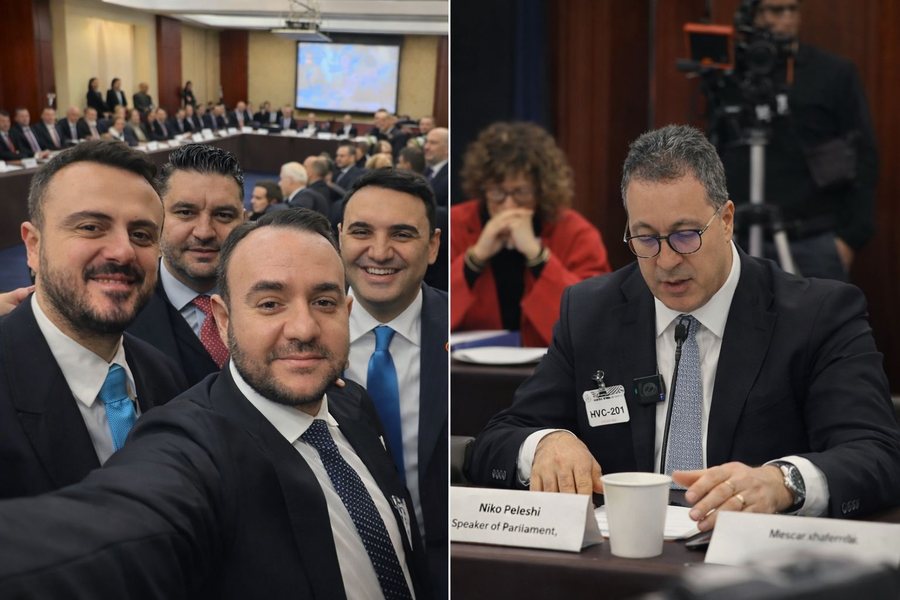 DP MPs: From the battle with Tirana's drug regime to... Niko Peleshi's