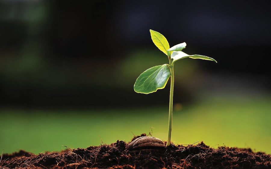 Bujq&euml;sia, midis konsolidimit dhe r&euml;nies