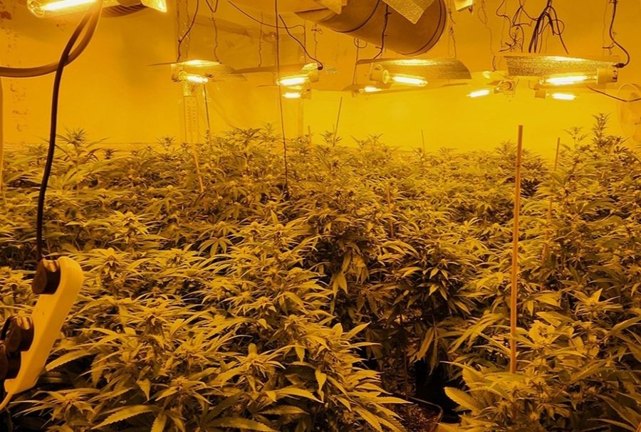 Goditet banda shqiptare e drog&euml;s n&euml; Britani/ Burg p&euml;r