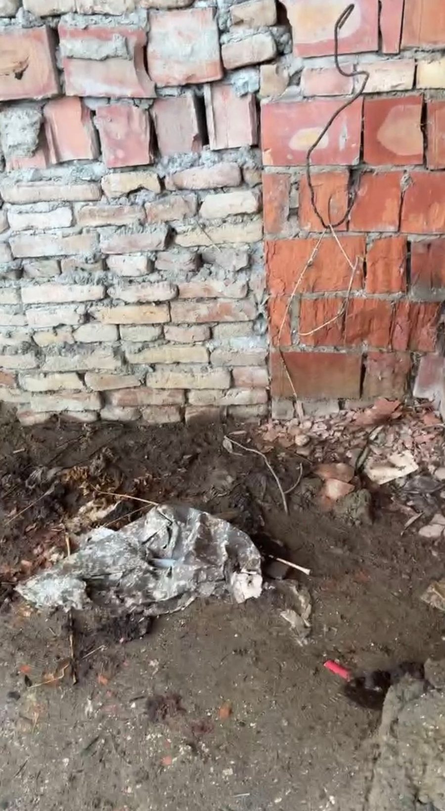 Saimir Korreshi denoncon spitalin e Lushnjës, Ministria përgjigjet nga