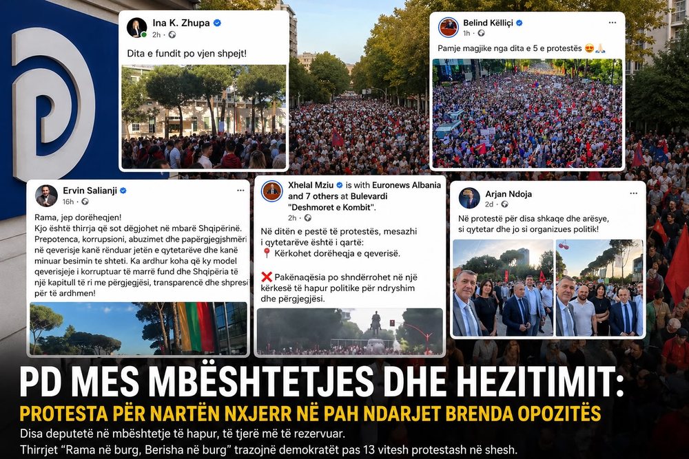 PD mes mb&euml;shtetjes dhe hezitimit: protesta p&euml;r Nart&euml;n nxjerr