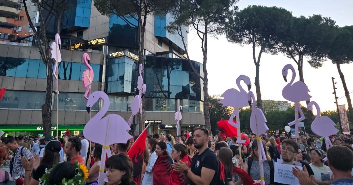 Flamingot dhe kecat në protestë  vijon protesta kombëtare në Tiranë  paradë simbolike para Kryeministrisë