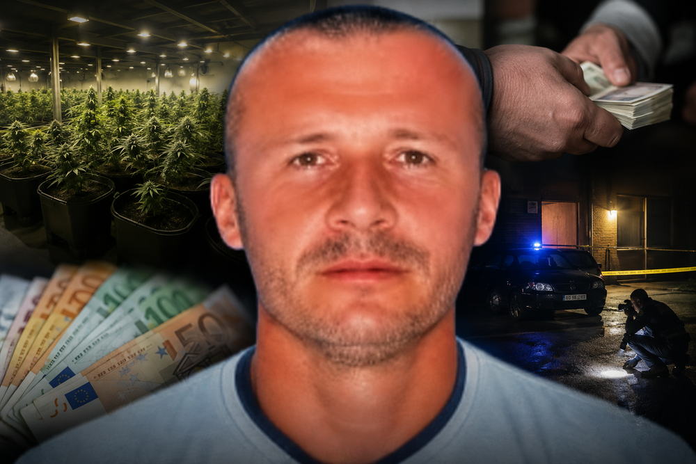 EKSKLUZIVE/ Kanabisi mjek&euml;sor dhe fajdet, dy pistat e reja q&euml; po heton