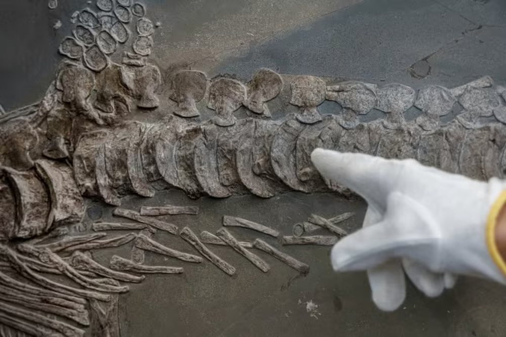 Po sikur nj&euml; qytet&euml;rim i p&euml;rparuar t&euml; kishte jetuar n&euml;