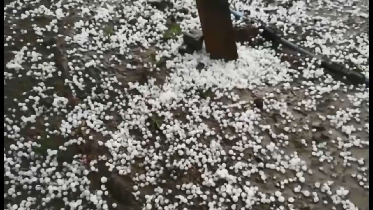 Bresh&euml;ri godet Gramshin, d&euml;me t&euml; m&euml;dha n&euml; bujq&euml;si