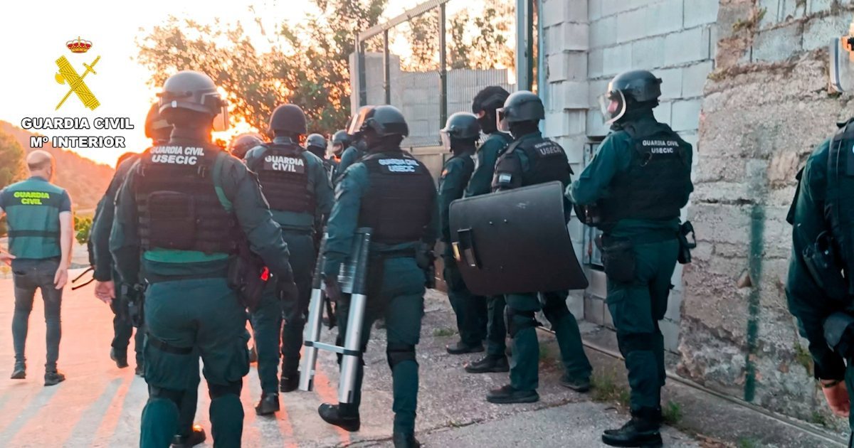 Shkatërrohet plantacioni gjigant i kanabisit në Spanjë  arrestohen disa shqiptarë 