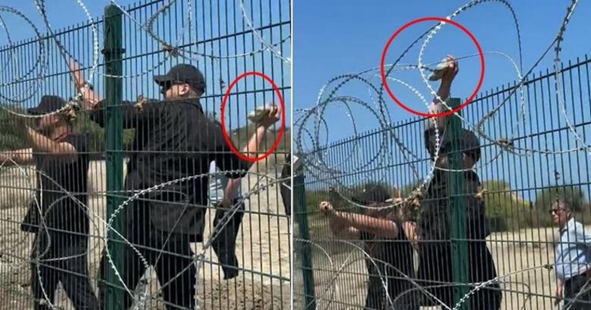  Në spital pështynte gjak   ja çfarë deklaroi kryeplaku i Zvërnecit për protestuesin që u tërhoq zvarrë 