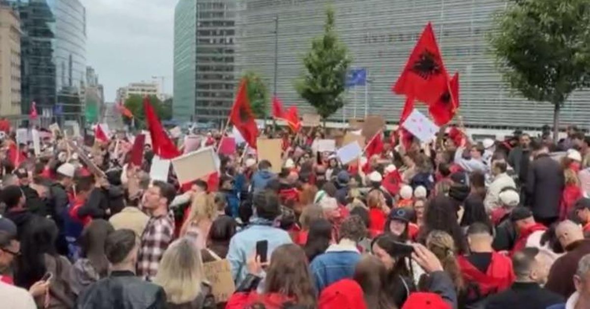 Me flamuj kuqezi dhe pankarta në duar  shqiptarët protestojnë para selive të BE në Bruksel për Zvërnecin
