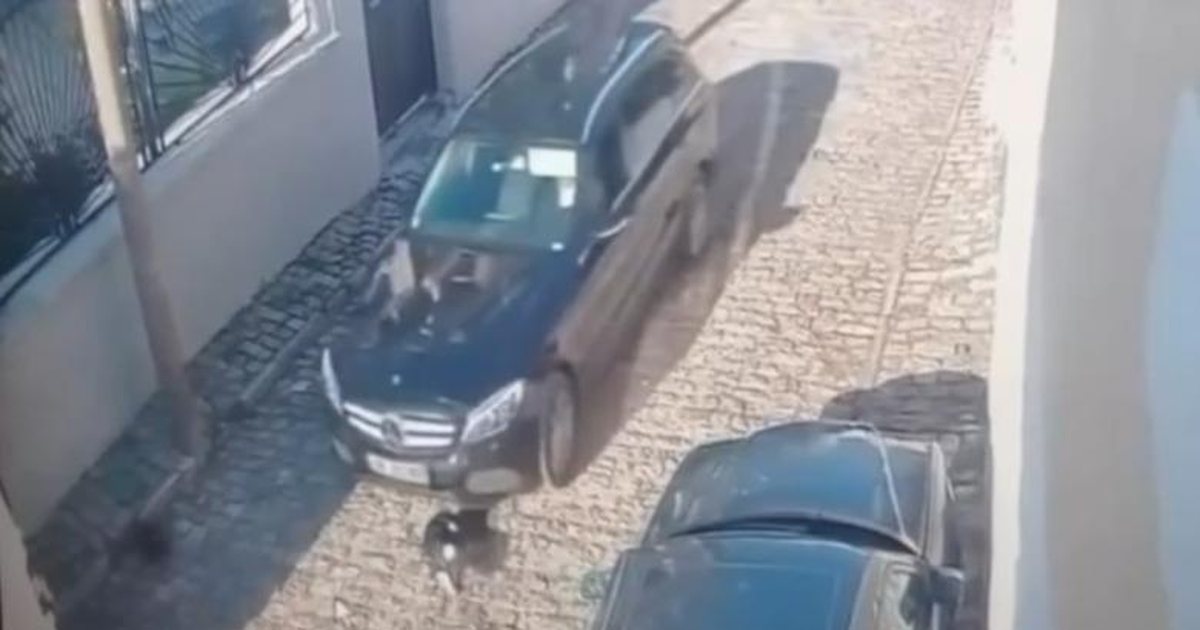 Tentoi të përplaste qëllimisht me makinë qenin në rrugë  shpallet në kërkim shoferi i automjetit