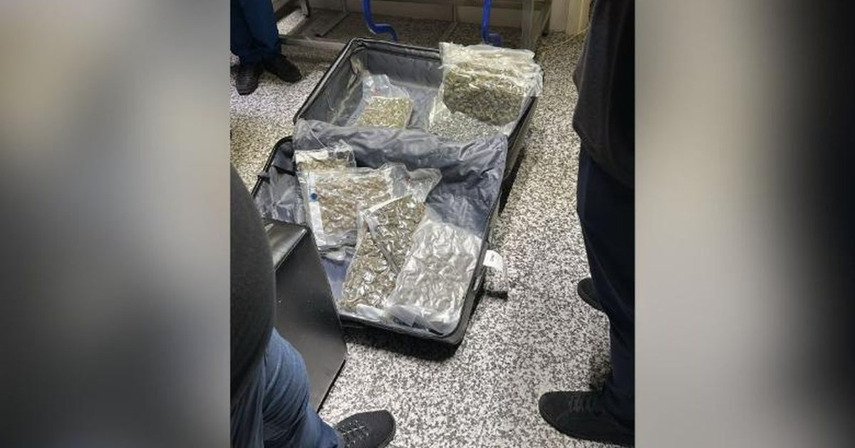 Sekuestrohen 46 kg kanabis në Rinas pas kontrollit të fluturimit Toronto Tiranë  dy persona nën hetim
