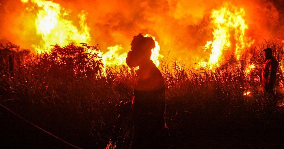  El Nino  rikthehet  bota do të përballet me 5 vite të nxehti ekstrem