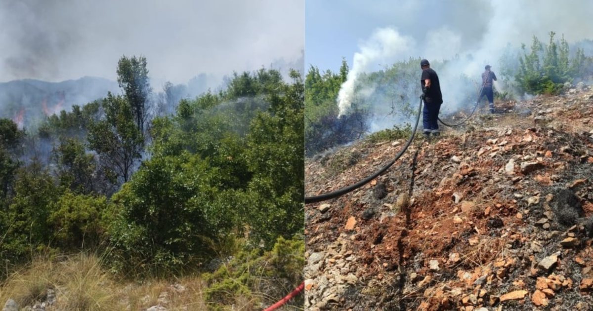 Zjarr i madh në Qafë Thanë  flakët përhapen me shpejtësi nga temperaturat e larta dhe era 
