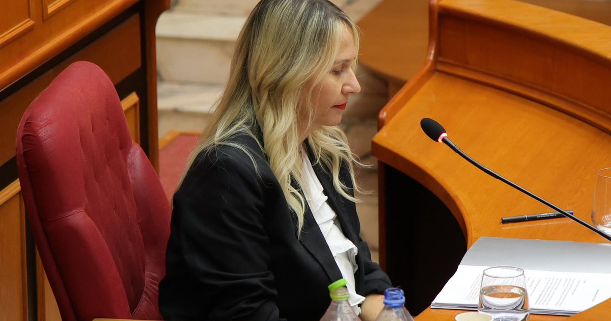 Aplikimi për kreditë e buta në Tiranë  Ristani  Ja si do të funksionojë aplikimi për fazën e dytë