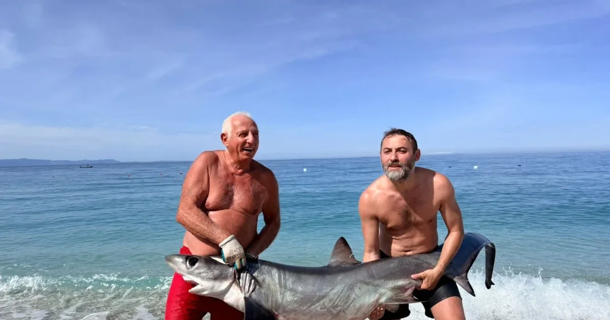  Peshkaqeni dhelpër   2 metra i gjatë  kapet në Borsh  FOTO 