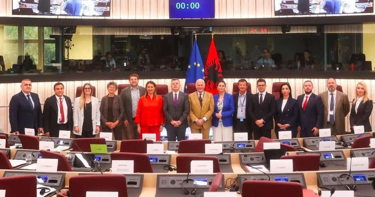 rama-te-gjithe-europarlamentaret-votuan-pro-shqiperise-edhe-beleri-deputetet-e-pd-votuan-kunder
