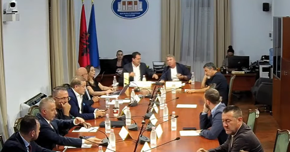 Komisioni i Reformës Zgjedhore  PD s pranon dëgjesë me Sokol Bizhgën  kërkojnë Skënder Hitën  E papranueshme 