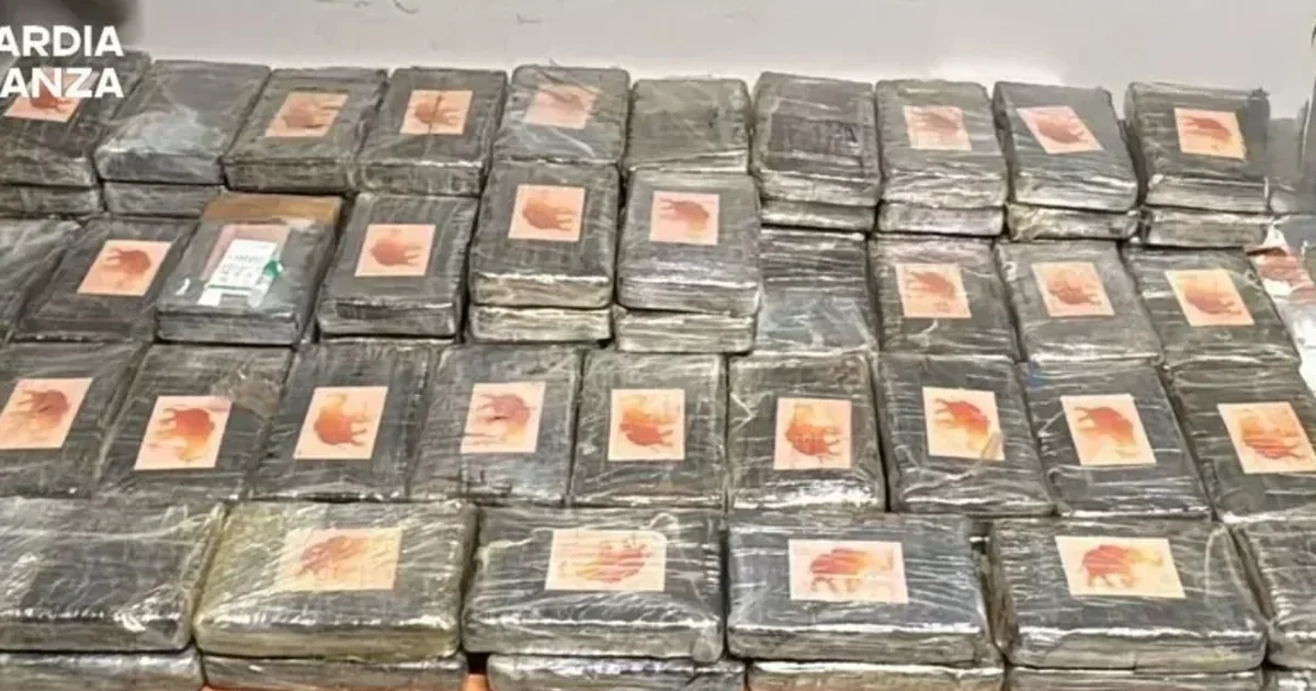 Sekuestrohet mbi 111 kg kokainë në Itali  Arrestohen tre persona  mes tyre një shqiptar 