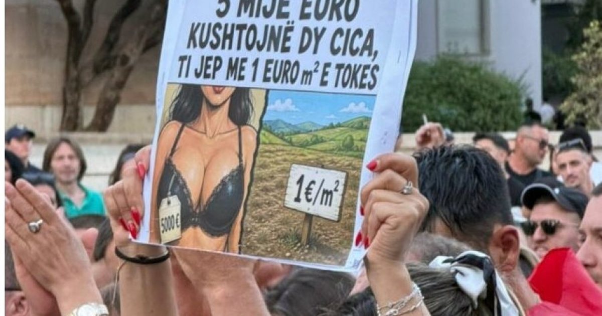  5 mijë euro kushtojnë dy cica  ti jep me 1 euro m² e tokës   pankartat pikante nga protesta 