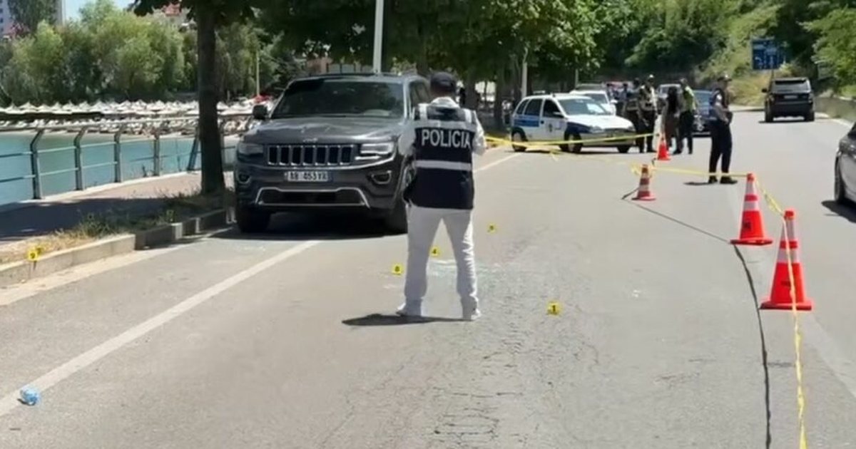 Zbardhet plagosja në Pogradec  identifikohen 4 autorët e dyshuar