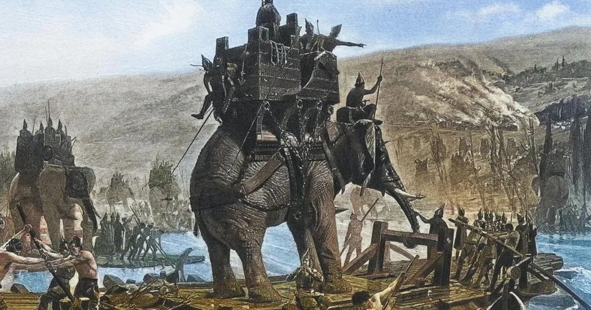 Zbulimi i jashtëzakonshëm  Gjendet në Spanjë kocka e një elefanti lufte të betejave legjendare të Hanibalit