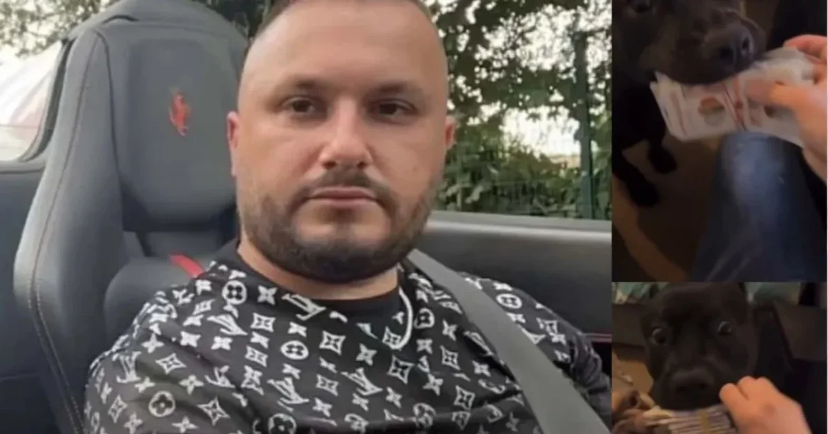 Dorian Puka sfidon autoritetet angleze dhe rikthehet në qendër të mediave  publikon video duke ushqyer dy pitbull ët e tij me paund