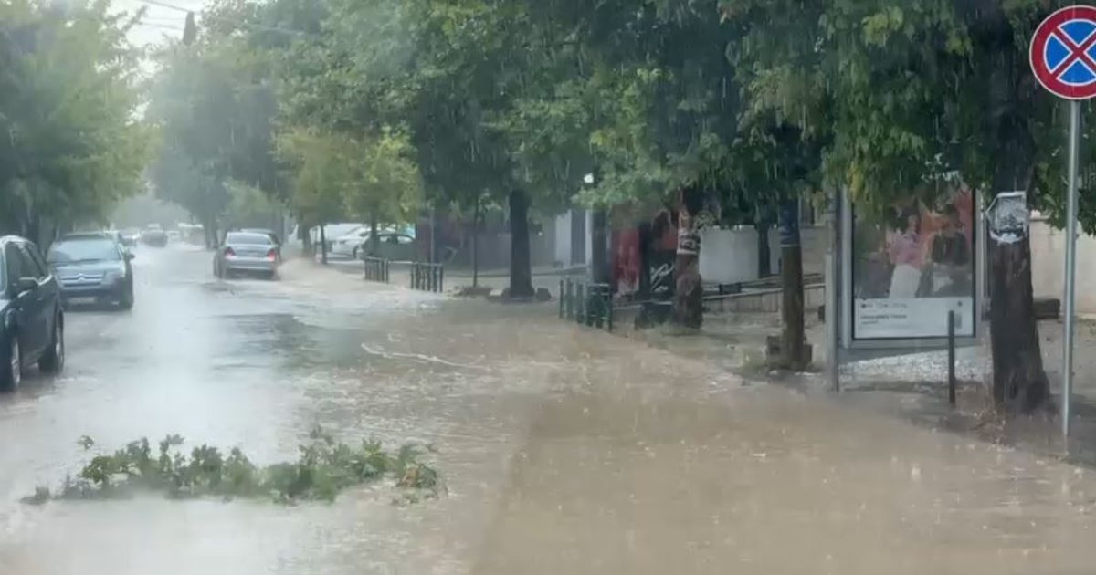 FOTO   Çmendet  moti në Elbasan 