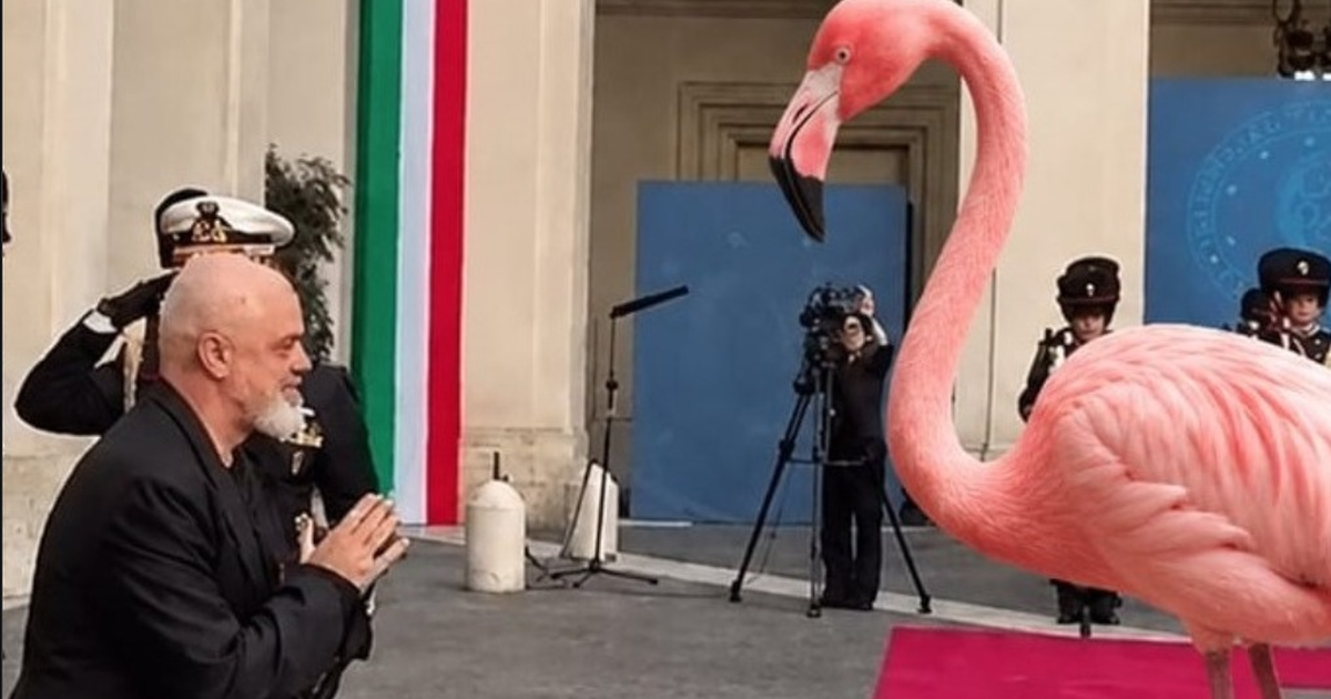  Besa s ka lidhje me sorrat dhe korbat   Rama  Të vijnë për dorëheqje poshtë penxheres sime deri në 2029 ën 