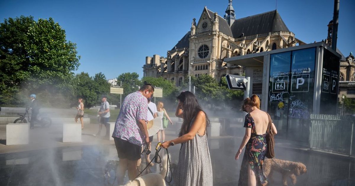 Temperatura afër 50 gradëve në Europë  rritet vdekshmëria e qenve dhe maceve nga i nxehti në Francë