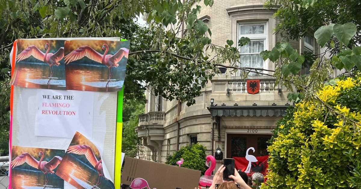 video-proteste-para-ambasades-shqiptare-ne-shba-kerkohet-doreheqja-e-qeverise