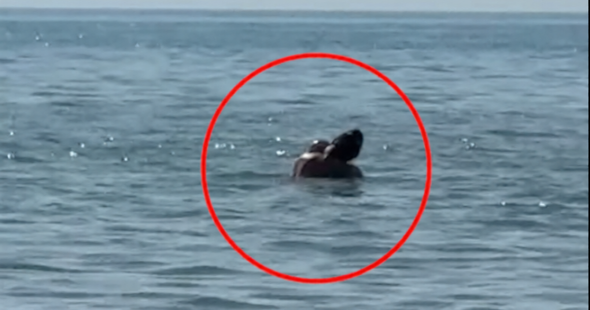 Video  18  Çifti filmohen duke bërë seks në plazhin e Durrësit 