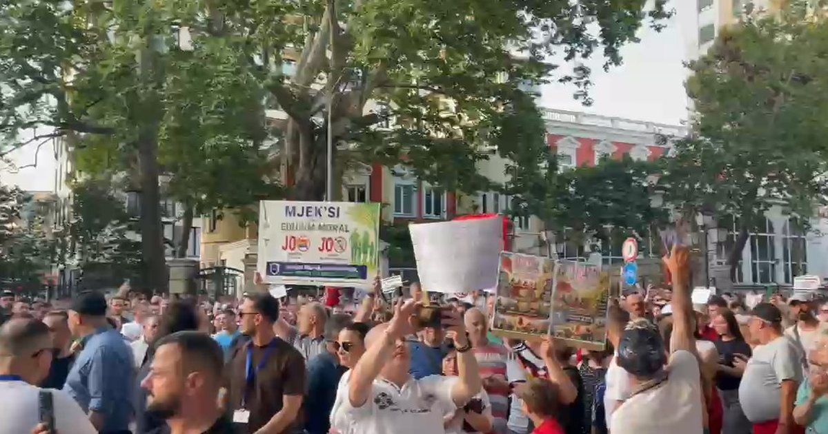 Protesta kundër terapisë hormonale  Protestuesit pro familjes kërkojnë dorëheqjen e Ramës dhe Evis Salës