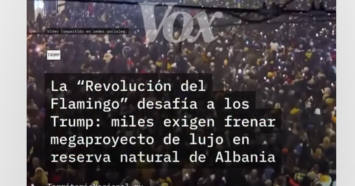 VIDEO  Në mediat meksikane shpërndahen protesta  fake  nën moton  Flamingo Revolution in Albania 