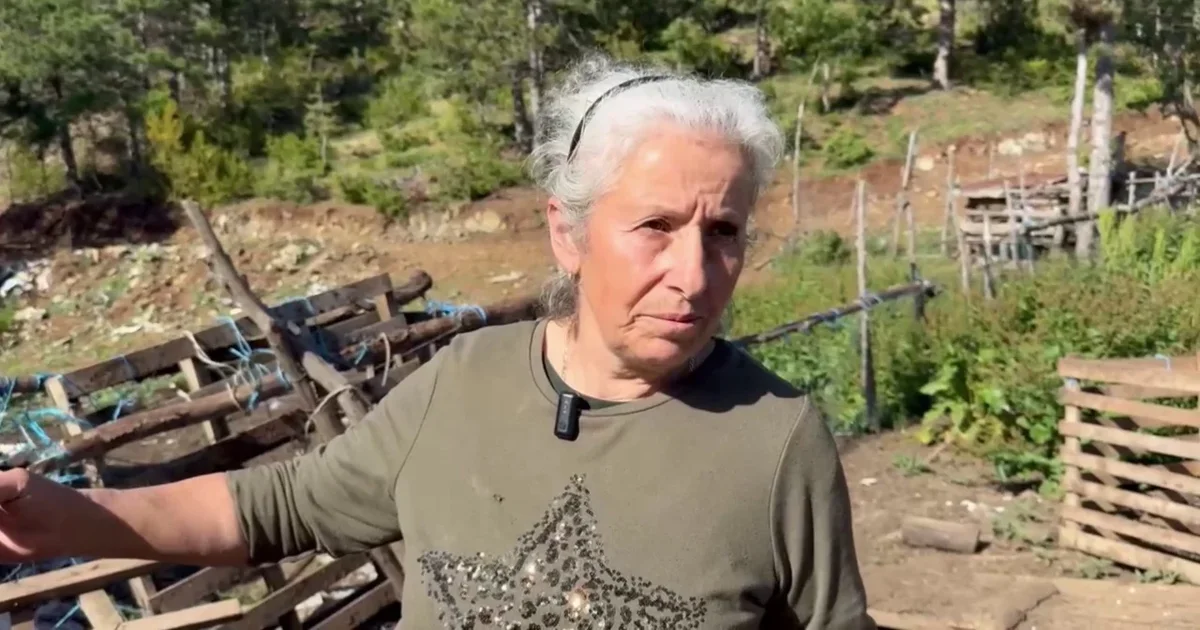  Do ta takoj  është djali im   flet për herë të parë nëna e Violand Braçellarit  Nuk ka faj polici  por ai qëlloi i pari