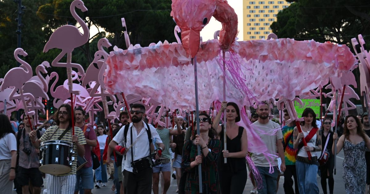  Revolucioni i Flamingove  pushton bulevardin me një skenografi të veçantë  VIDEO 