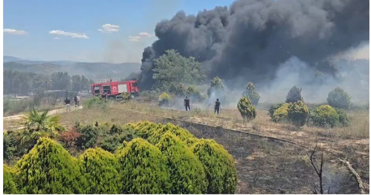 Situatë dramatike në Drizë të Fierit  flakët rrezikojnë banesat  Tymi mbulon zonën  vijon ndërhyrja nga ajri me helikopter