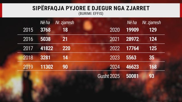 Mbi 50 mijë ha të shkrumbuara: Shqipëria, vendi i parë para