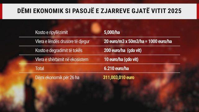 Mbi 50 mijë ha të shkrumbuara: Shqipëria, vendi i parë para