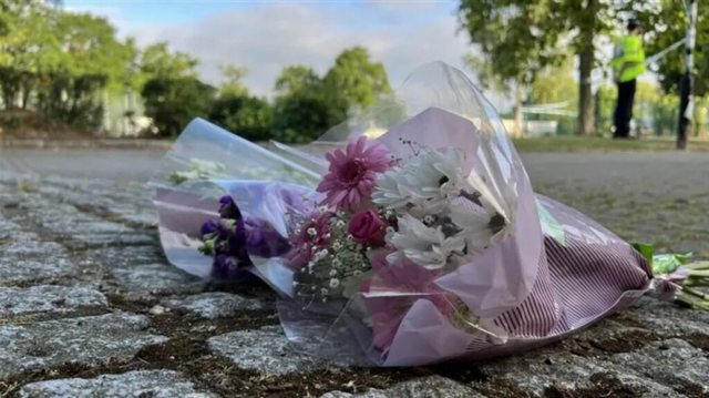 Tragjedi në Britaninë e Madhe, pema bie mbi vajzën shqiptare,