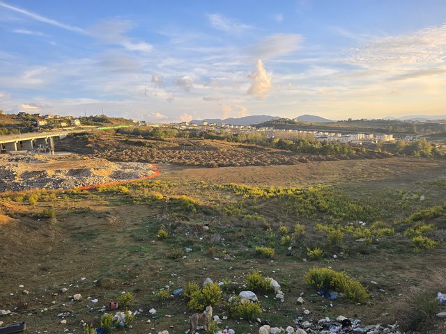 Farkë, Liqeni, Zogu i Zi... “Shoferi” (DHJUSI) që u