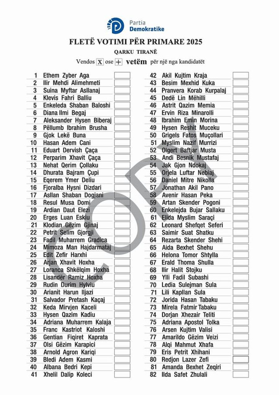 Mbyllet votimi i Primareve në Partinë Demokratike! 430 kandidatë