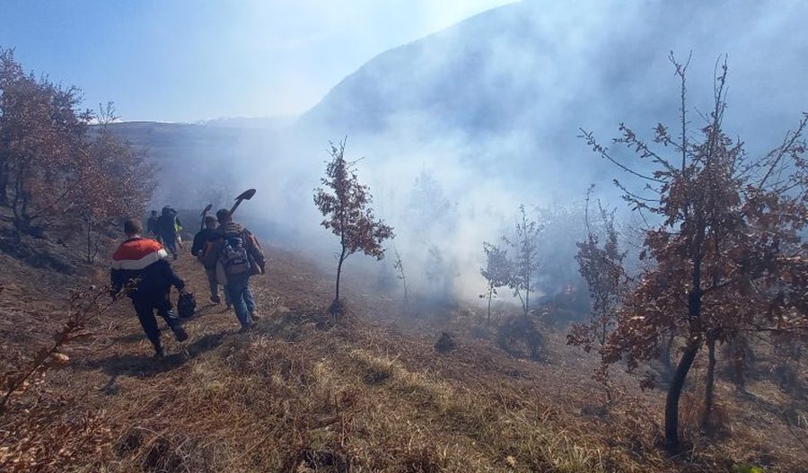 FOTO-Vatra zjarri në Pogradec, autoritetet nisin hetimet, dyshohet të