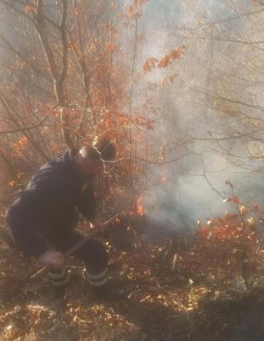 FOTO-Vatra zjarri në Pogradec, autoritetet nisin hetimet, dyshohet të