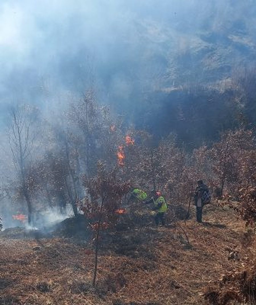 FOTO-Vatra zjarri në Pogradec, autoritetet nisin hetimet, dyshohet të