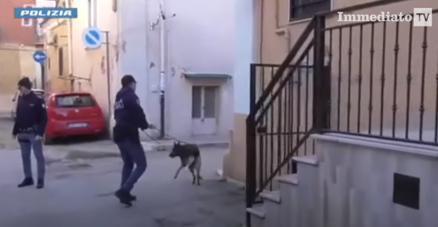 Shkatërrohet grupi kriminal në Itali, 'koka' ishte një