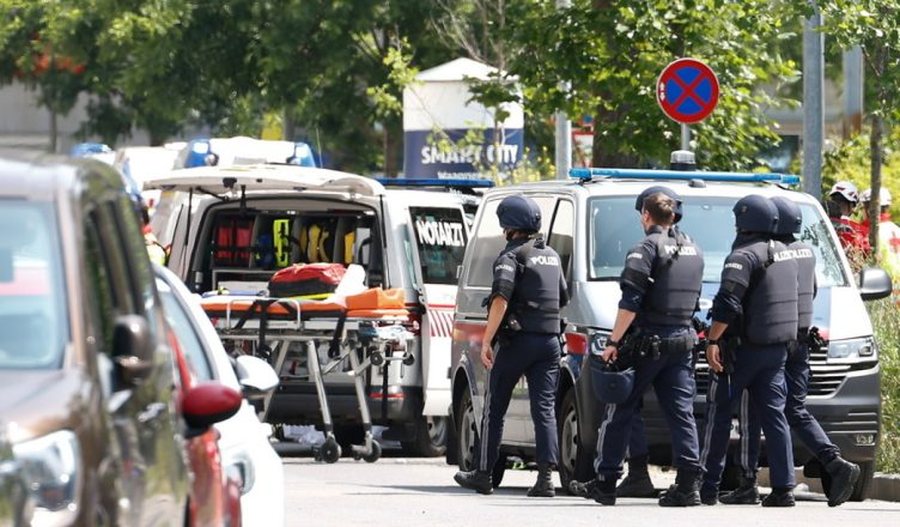 Sulmi me 10 viktima në Austri, mes tyre 15-vjeçarja nga Kosova,