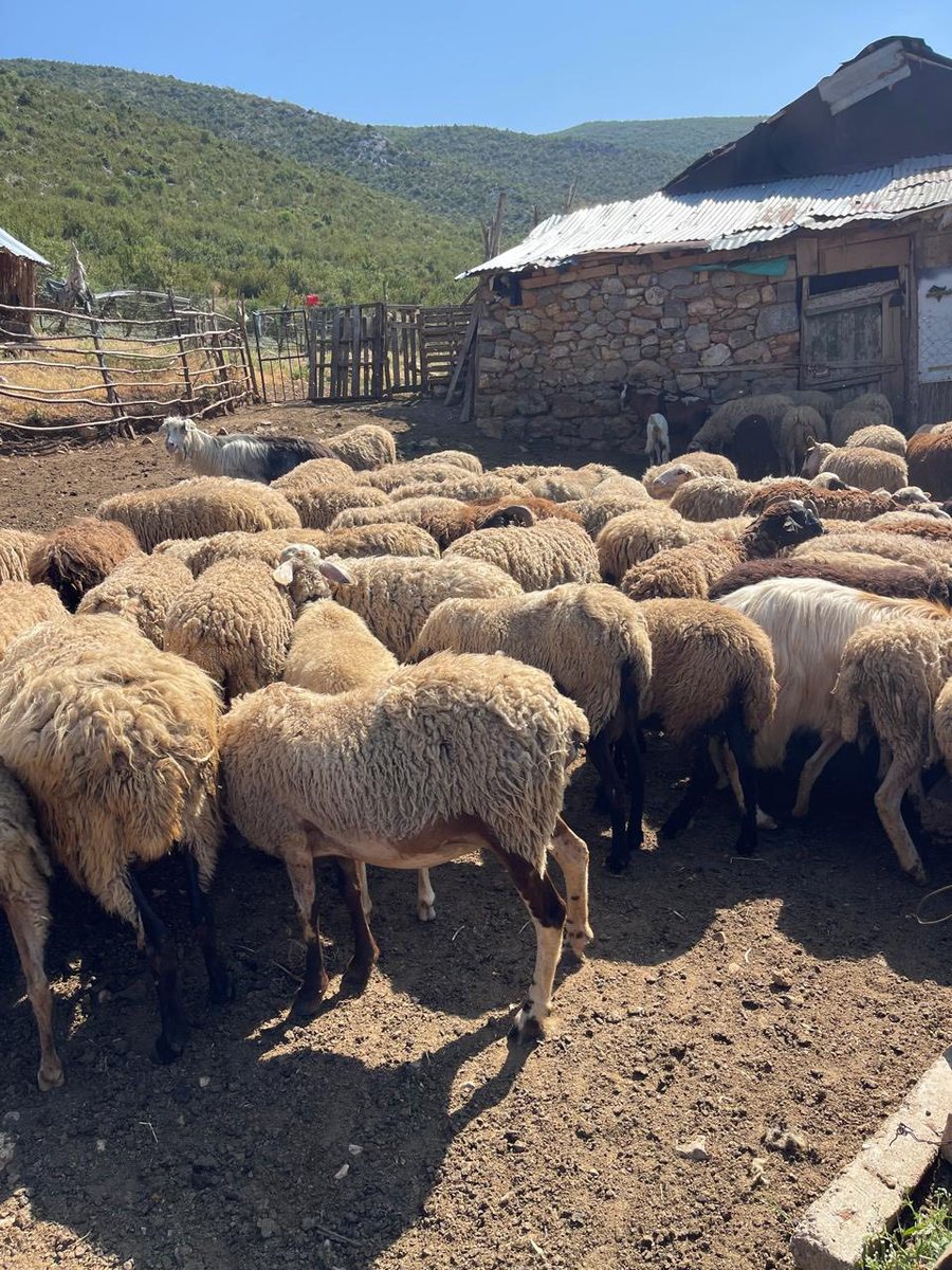 Autoriteti Kombëtar i Veterinarisë bën përditësimet e