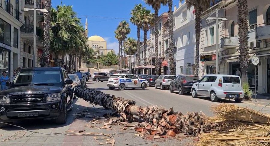 Rrëzohet palma në Durrës, zë poshtë makinat! Rrezikohen