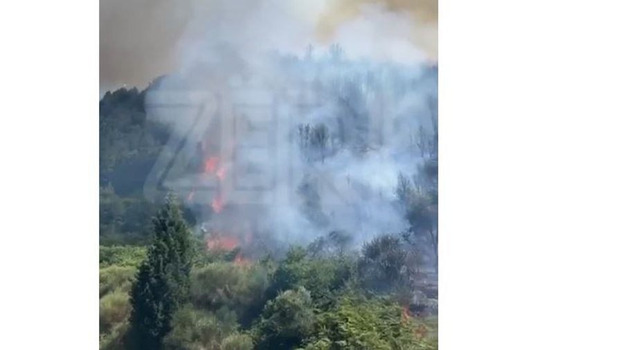 Vlorë/ Zjarr masiv në fshatin Hoshtimë, era favorizon